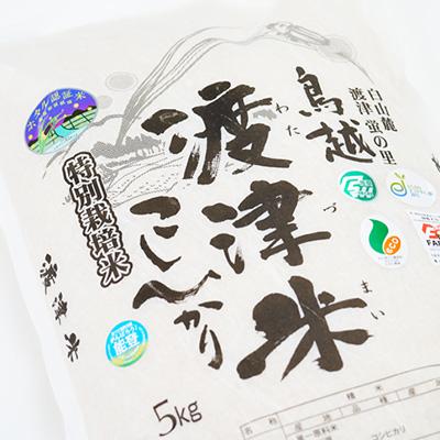 ふるさと納税 白山市 《高級日本料理店採用》蛍の里「渡津米」白米5kg・栽培期間中農薬化学肥料70%減 |  | 01