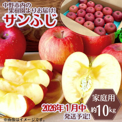 【ふるさと納税】◆2026年1月中発送◆りんご サンふじ家庭用 約10kg(24～42玉)_ 林檎 リンゴ 訳あり 訳アリ わけあり 長野県 信州 くだもの 果物 フルーツ 人気 サンフジ 特産品 産地直送 キズ 中野市 常温 家庭用 規格外 新鮮 蜜入り 果樹園 【1515113】
