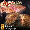 【ふるさと納税】長崎和牛 特選ステーキ（120g×2枚）＆ハンバーグ（80g×4個）はんばーぐ 特製 簡単調理 赤身 ステーキ 霜降り ステーキ 東彼杵町/有限会社大川ストアー [BAJ114]