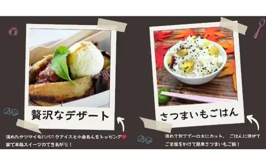 熟成紅はるか冷凍焼き芋 約3kg (電子レンジ対応袋使用) 茨城県産 さつまいも 濃密な甘さ 遠赤外線焼き上げ シャーベット風 焼き芋スムージー 焼き芋ラテ スイーツ ヘルシーおやつ 茨城県 潮来市