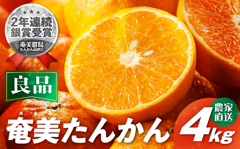 【2027年先行予約】農家直送 奄美たんかん 良品（家庭用）4kg　A067-001