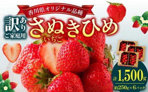 訳あり ご家庭用　さぬきひめいちご　約1.5kg【2026-11月上旬～2027-1月下旬配送】 372013_T006-264J