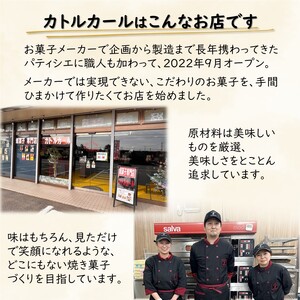 チョコがけクッキー 5種類 スティッククッキー 詰め合わせ さくほろクッキー 美味しい かわいい チョココーティング おすすめ 焼き菓子 オリジナル紙袋付き ギフト 贈物 プレゼント お土産 自分への