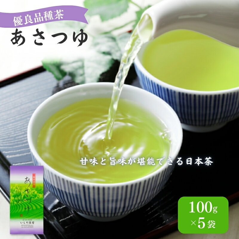 【ふるさと納税】お茶 いしだ茶屋 あさつゆ 100g 5袋 煎茶 茶葉 贈答