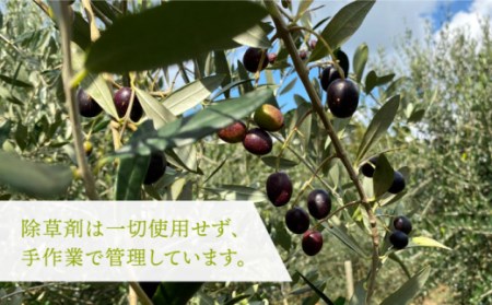 【全6回定期便】ikicael ナイトケア オリーブオイル [JDU013] 定期便 エクストラバージンオイル オリーブ オリーブオイル 美容 美肌 健康 美容液 美容オイル 78000 78000円
