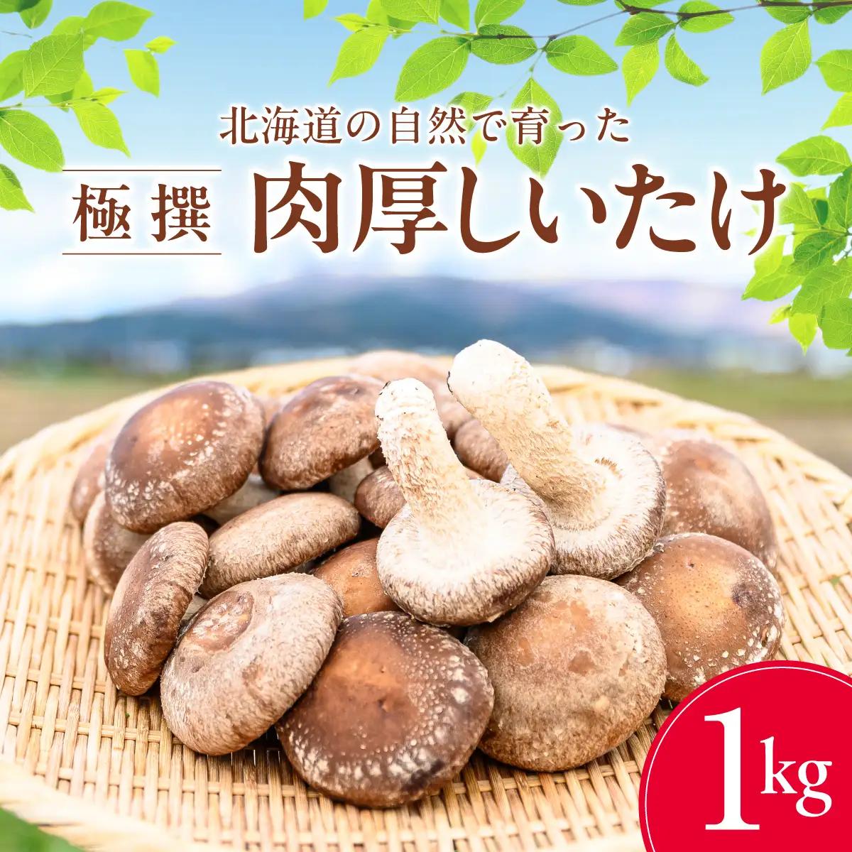 北海道 自然で育った 極撰 肉厚しいたけ1kg HOKBA001