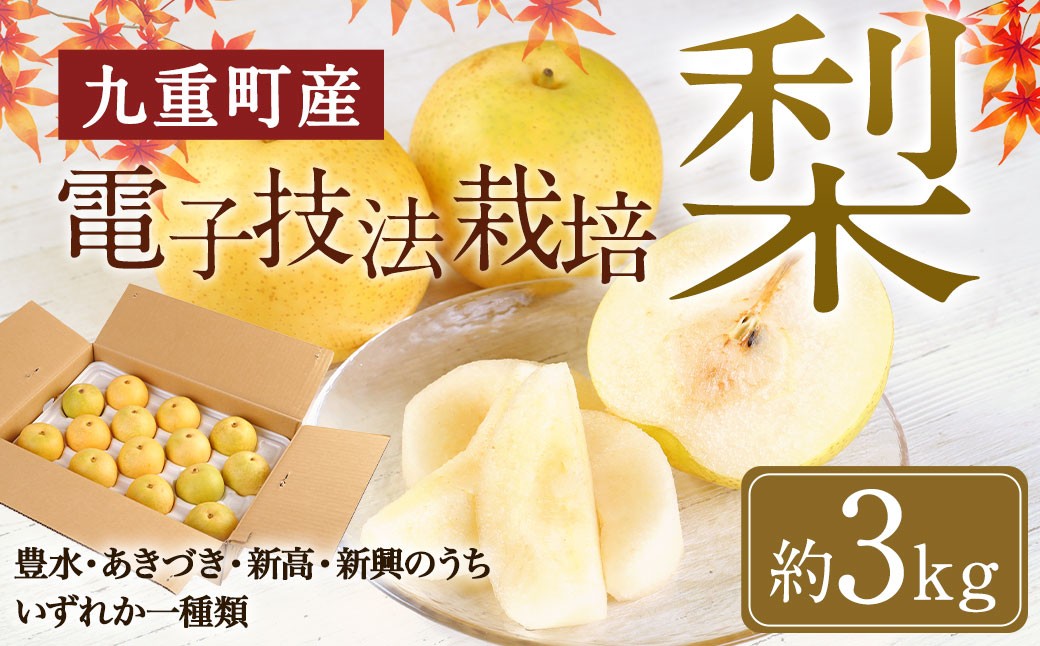 
                  九重町産 電子技法栽培 梨 3kg 果物 大分県産 (豊水・あきづき・新高・新興のうちいずれか一種)  【2026年9月上旬～12月上旬発送予定】
                