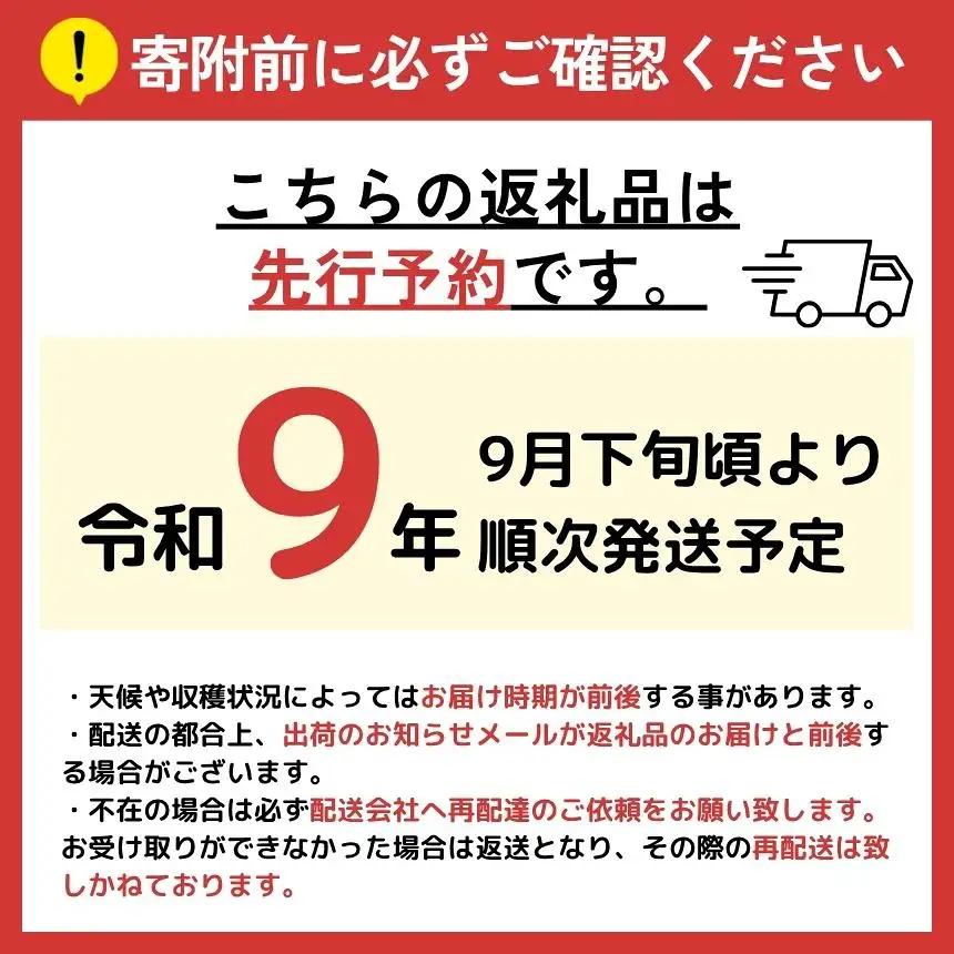 【 先行予約 】 訳あり 熊本県産 温州 みかん 約 10kg