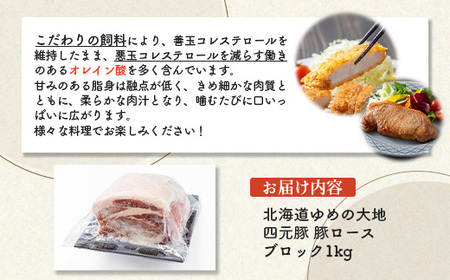 【北海道ブランド豚】「ゆめの大地」 豚ロースブロック 1kg【27007】