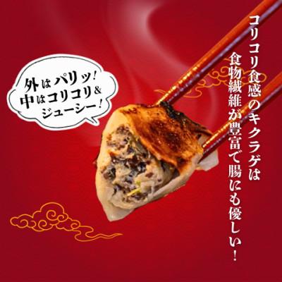 ふるさと納税 宇都宮市 宇都宮餃子 運気アップ餃子　ちょう×3いい感じ餃子　合計90個　保存料不使用 |  | 01