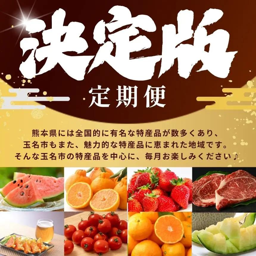 【 定期便 11回 】 熊本県 決定版 |（ いちご みかん 不知火 デコポン スイカ メロン あか牛 牛肉 海苔 焼き海苔 馬肉 ウインナー 馬刺し 餃子 ） 肉 果物 フルーツ くだもの 定期 定