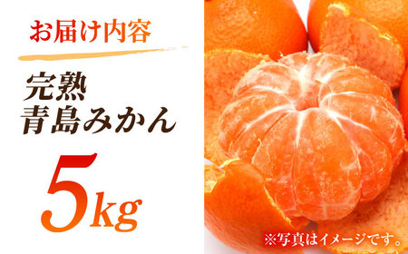 【12月中旬より順次発送】完熟 青島 みかん 約5kg【合同会社 社方園】完熟みかん 九州産みかん ミカン 柑橘 青島みかん 熊本みかん 九州みかん あおしまみかん オレンジ みかんくまもとのみかん 