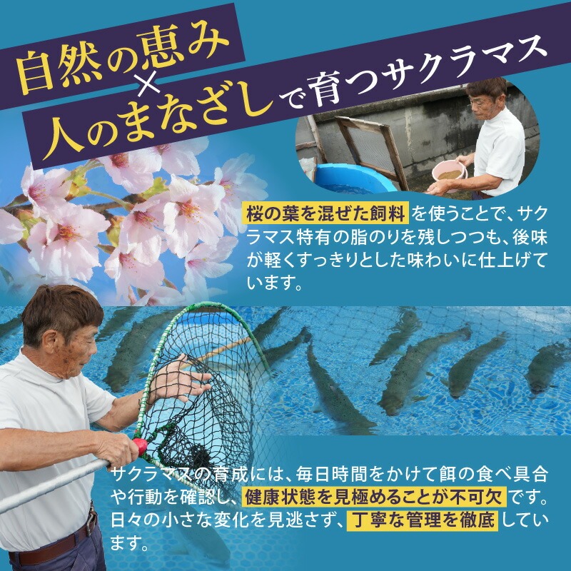本桜鱒スモークサーモン3種食べ比べセット N0116-YA3363