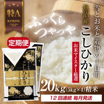 ふるさと納税 十日町市 【毎月定期便】魚沼産 コシヒカリ 20kg 精米 (お米の美味しい炊き方ガイド付)全12回