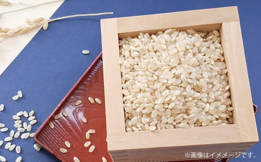 【令和7年産】 特別栽培米ヒノヒカリ （玄米） 20kg 予約 新米 ヒノヒカリ 玄米 井上農園 米 お米 【2025年10月上旬～12月下旬迄発送予定】