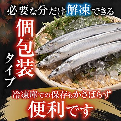 ふるさと納税 根室市 ＜12/21まで年内配送＞★冷凍さんま30尾 B-30005 |  | 02