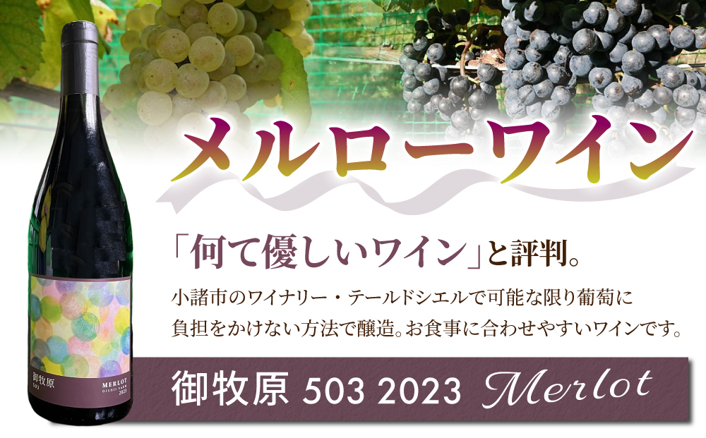 【おいしい農園】メルローワイン「御牧原503」2本