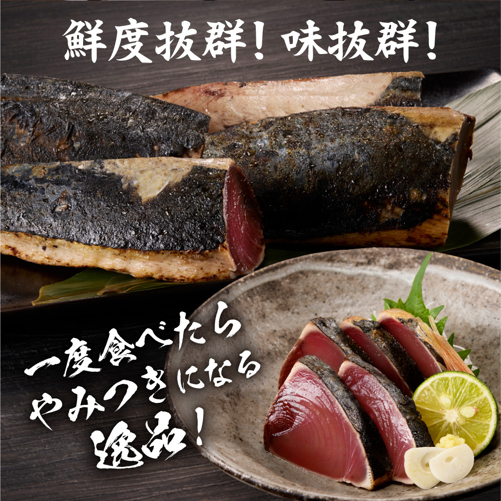 絶品！鰹のたたき！お手軽小分けパック　12柵セット | カツオ 魚介 海鮮 北海道 札幌市