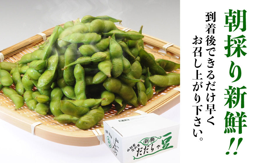 【令和8年産】成澤農園の鶴岡特産 だだちゃ豆 2kg(500g×4袋)　枝豆　山形県鶴岡市　K-831　| だだちゃ豆 枝豆 えだまめ 豆 2キロ 夏の味覚 おつまみ 旬の野菜 期間限定 名産品 ビー