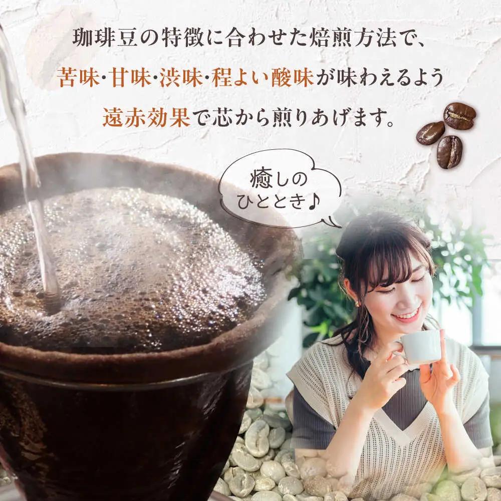 【全12回定期便】ブルーマウンテン NO.1 コーヒー 浅煎り VAS151 珈琲 コーヒー