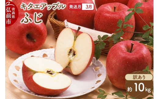【27年3月クール便発送】りんご ふじ【訳あり】約10kg キタエアップル 先行受付 クール便 家庭用 青森県 弘前市 果物 フルーツ 林檎 リンゴ くだもの 不揃い 規格外 青森県 弘前市 [先行予約 クール便 産地直送 アップル おいしい 果実 美味 甘い 赤色]