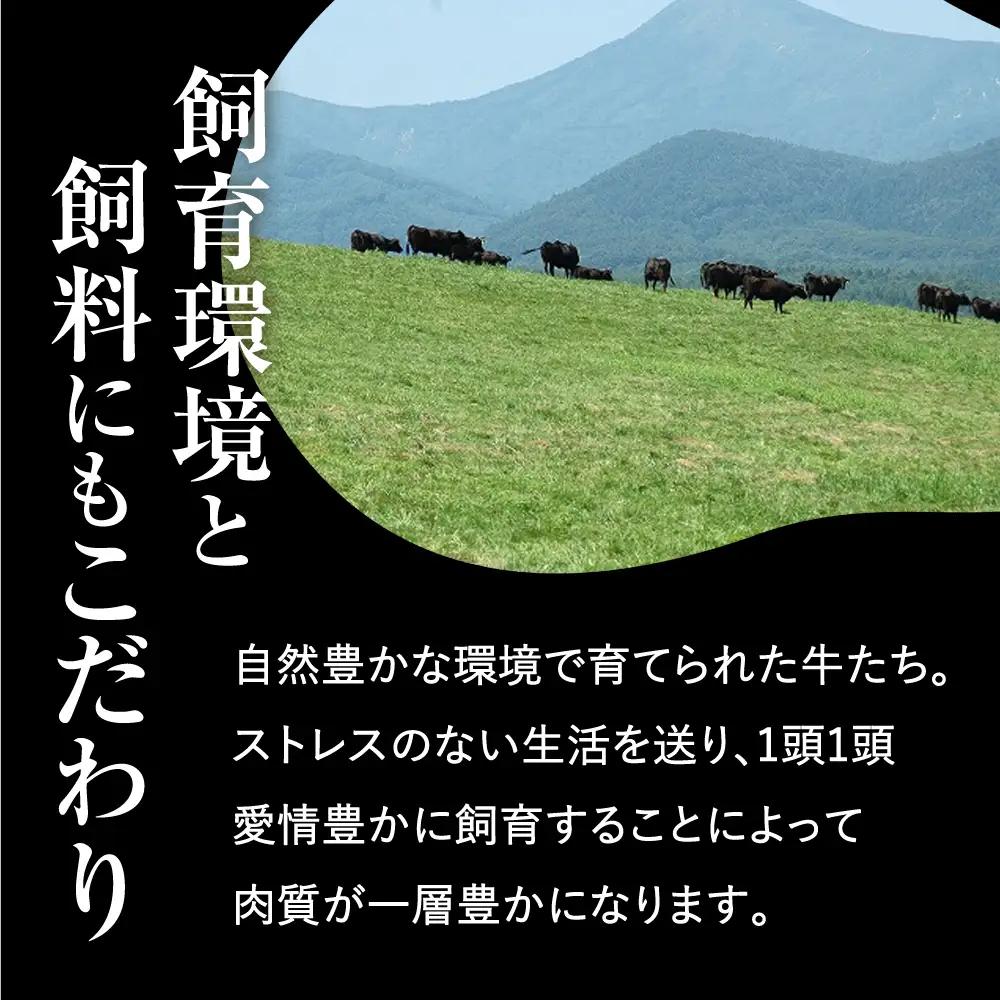 前沢牛 サーロイン ステーキ 200g×2 冷凍 霜降り 黒毛和牛 国産 三大和牛 和牛 岩手県 金ケ崎町 霜降り肉 前沢 牛 お肉 最高級 ブランド牛 受賞 銘柄 味の 芸術品 いわて 奥州 牛肉 