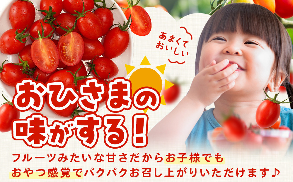 ［2026年4月出荷分］和歌山産ミニトマト「アイコトマト」約1kg（S・Mサイズおまかせ）［TM231］