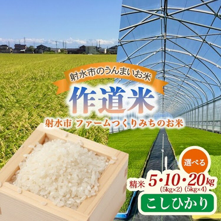 【ふるさと納税】＼選べる内容量／【射水市】【射水の美味しいお米】ファームつくりみちのお米 作道米R7年度産こしひかり 5kg・10kg・20kg【精米】 ※2025年10月上旬～10月下旬頃に順次発送予定 ※離島への配送不可