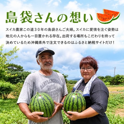 【2027年2月中旬から順次発送】島袋さんの冬スイカ 2玉(1玉3.5～4.5kg)【配送不可地域：離島】