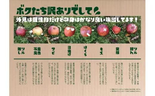 【先行予約】 米崎りんご 3kg 2品種以上食べ比べBOX 訳あり りんご