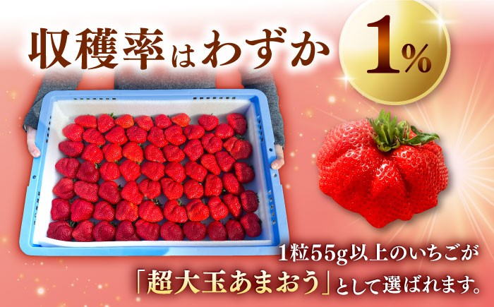超大玉 あまおう 福岡 博多あまおう いちご 苺 イチゴ 先行受付 予約