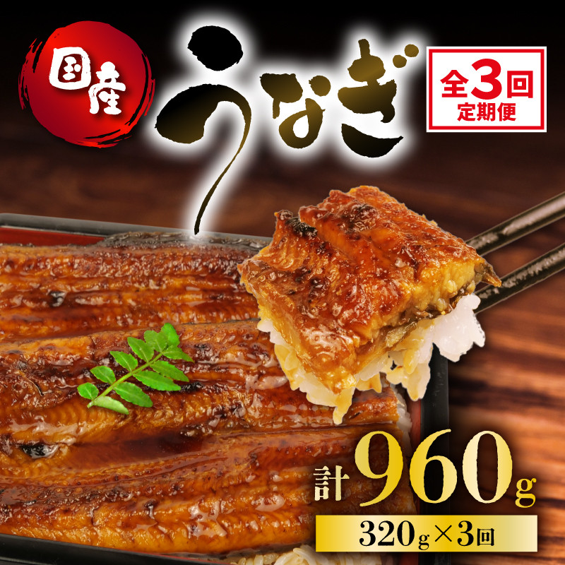 
定期便 全3回 うなぎ 国産 蒲焼 160g × 2尾 計320g 鰻蒲焼 ウナギ 土用 丑の日 JAS認定 活鰻 自家製蒲焼のたれ 山椒 ギフト 贈答 冷凍 養殖 海鮮 真空パック レンジ 調理 湯煎 まとめ買い 静岡県 藤枝 ふるさと人気
