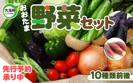 野菜 セット 先行予約 10種類 前後 大玉村 の 農家 直送 旬 の 野菜 新鮮 お試し 詰め合わせ 《寄附額 5000円 》 福島県 大玉村 産地直送 季節の詰め合わせ おまかせ 国産 野菜 旬 野菜セット 詰合せ ダイエット 健康 志向 冷蔵 配送 野菜 不足 解消 初心者 にも おすすめ ｜ SDGs セット おためし 詰合せ 人気 ｜01104