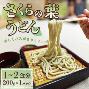 菊水うどん そば 4種セット 1.2kg 200g×6パック ( 菊水うどん さくらうどん さくらの葉うどん 菊水そば ) 生めん 生麺 生うどん 生 うどん 麺 めん そば 蕎麦 年越しそば 年越し