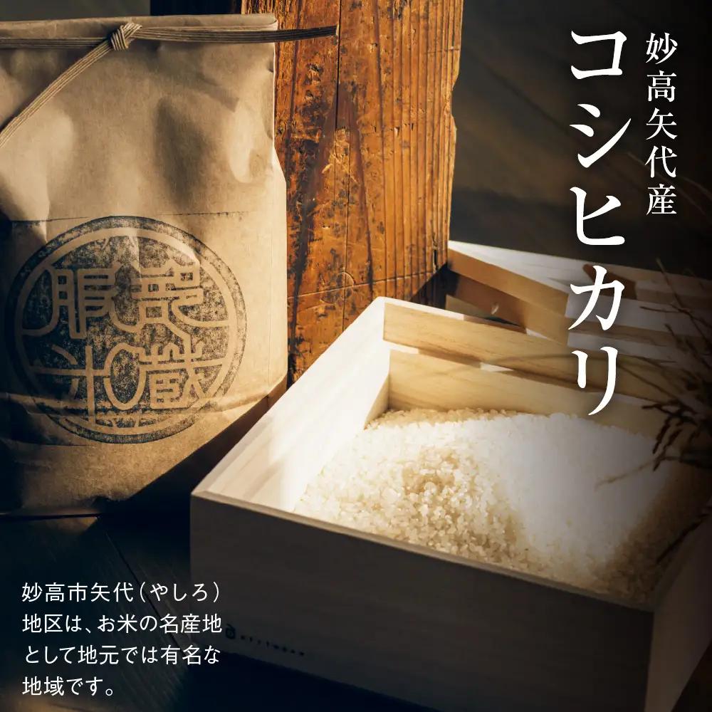 先行予約【令和8年産】【定期便】服部米蔵の妙高矢代産コシヒカリ 5kg×6回 計30kg