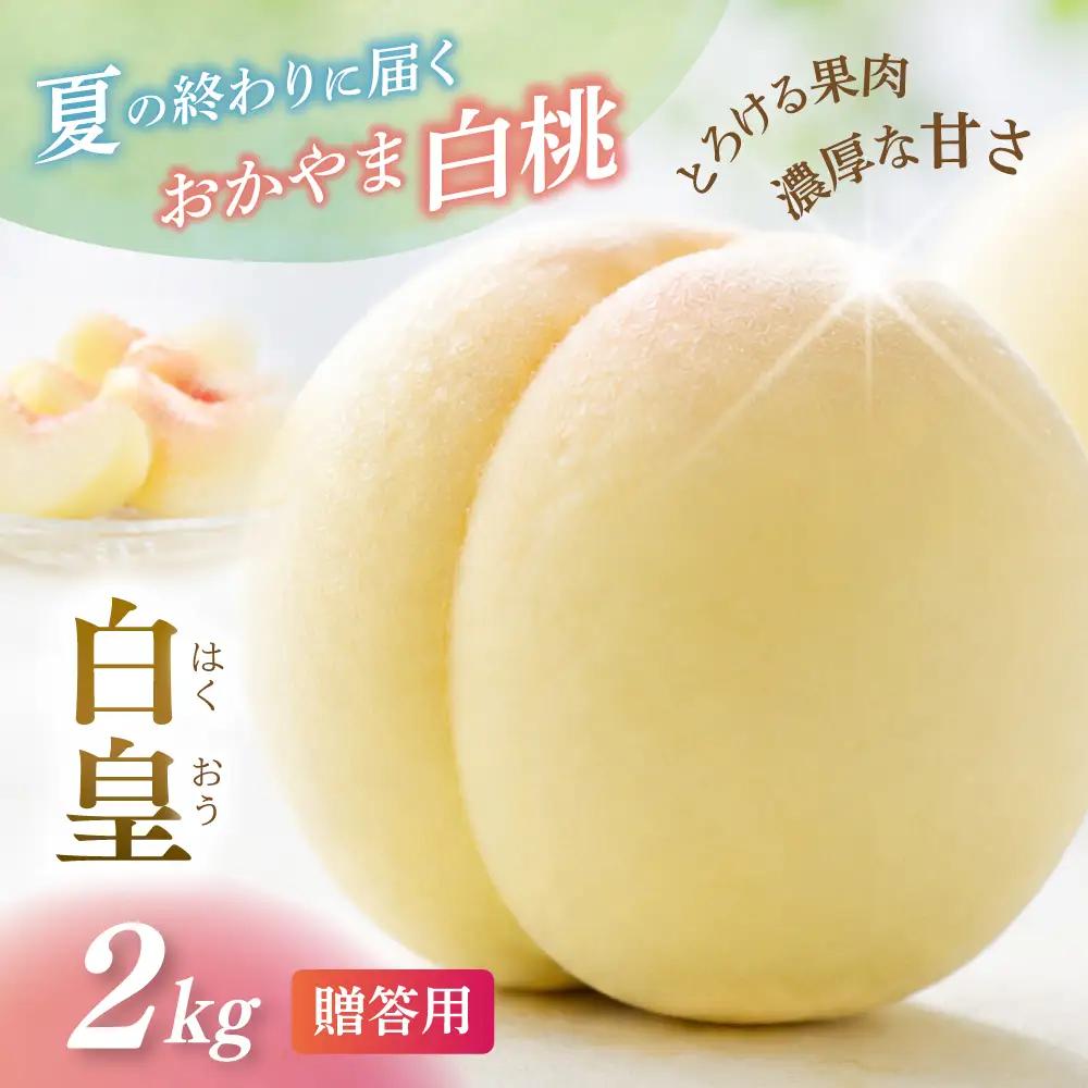 桃 岡山県産 白桃白皇2kg フルーツ もも  【hnds005】