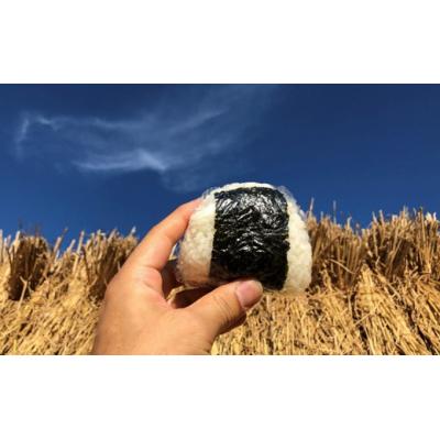 ふるさと納税 羽後町 令和7年産 新米 お米の贈り物(無洗米300gパッケージ入り) [No.5325-0102] |  | 01