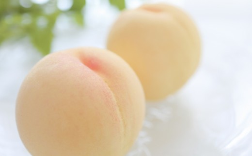 【秀品】清水白桃 3.8キロ