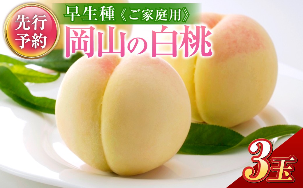 
                  岡山の白桃 （大玉 ／ 早生種） 3玉 （合計約840g） 桃 もも モモ 白桃 くだもの 果物 国産フルーツ 国産 岡山県 倉敷市 【2027年6月下旬～7月下旬迄順次発送予定】
                