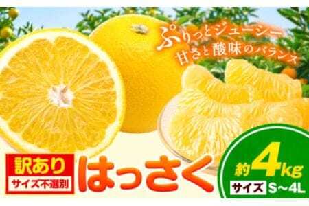 【訳あり/ご家庭用】はっさく 約4kg (4L~Sサイズ サイズ不選別) 早生･晩生指定不可《2月上旬-3月中旬に出荷予定(土日祝除く)》