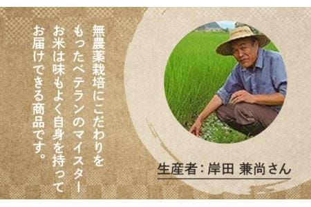 令和8年産新米 特A 農薬不使用 特別栽培米 コシヒカリ 越光 5kg こしひかり Y077