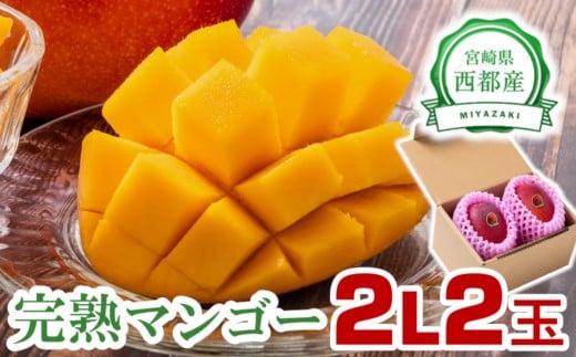 完熟マンゴーセット2Ｌ×2玉 糖度12度以上！西都市産 《先行予約》＜1.3-6＞2025年発送