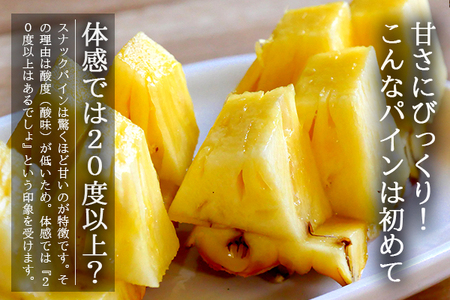 【2025年6月上旬～7月中旬発送】農家直送！石垣島産スナックパイン 4玉入 (約2.4kg) 【 沖縄県 石垣島 石垣市 スナック ポコット ボゴール パイン アップル 農家 直送 】TK-9
