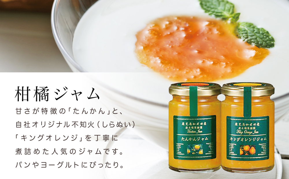 柑橘ジャム＆シロップ４本セット ＜タンカン・キングオレンジ＞ フルーツシロップ 柑橘 果物 フルーツ ジュース フルーツソース ドリンク ジュース 炭酸割り ハイボール カクテル かき氷 ヨーグルト 