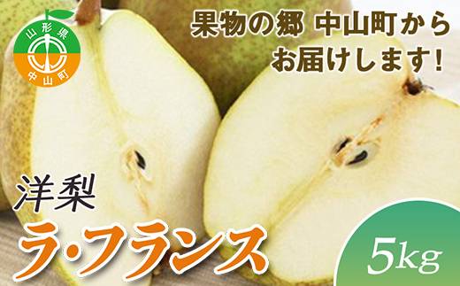 【2025年先行予約】果物の郷 中山町からお届けします！洋梨「ラ・フランス」期間限定 数量限定 ラフランス 洋ナシ 洋なし F4A-0055