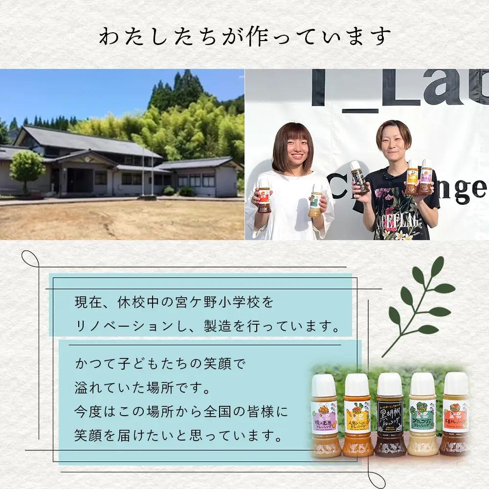 野菜で野菜を食べる ドレッシング 5本 Fセット 焼き玉葱/ニンジン/ブロッコリー/生姜/黒胡椒 024-0638 