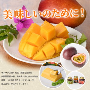 定期便 全5回 ゴロゴロ果肉入り アイス 10個入 定期便 マンゴーの森 IBZ040-002 定期便 定期便