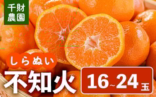 
            ＜先行予約受付中！2026年4月中旬より順次発送予定＞千財農園不知火(L～4L・16玉～24玉)みかん ミカン 蜜柑 しらぬい 柑橘 フルーツ 果物 くだもの 果実【109000301】【千財農園】
          