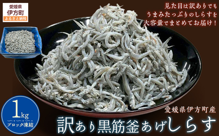 訳あり黒筋釜あげしらす 1kg IKTB016 