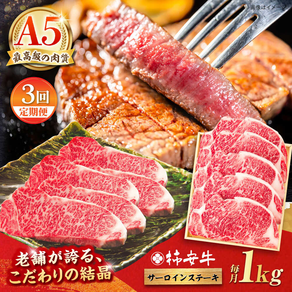 【ふるさと納税】【3回定期便】最高級A5等級 三重県産 黒毛和牛 柿安牛 サーロインステーキ 1000g / 国産牛 ブランド牛 牛肉 冷蔵 / 亀山市 / 柿安本店 [AMBW030]